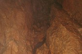 IMG_2951
