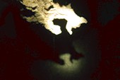 IMG_2967