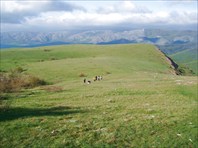 На Чердаке