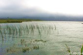 Озеро Славное