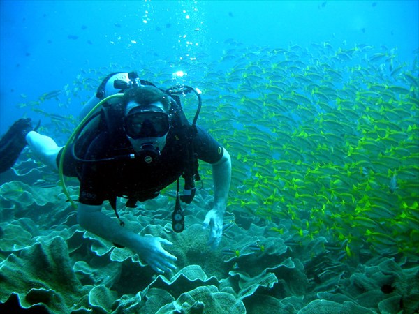 Подводный мир Филиппин