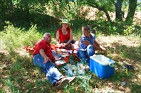 Пикник у виноградников Прованса