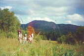 05. 13.07.1997. Середина перехода, вдали виден Откликной