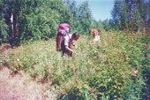 49. 24.07.1997. Последний заход в тургоякские малинники.