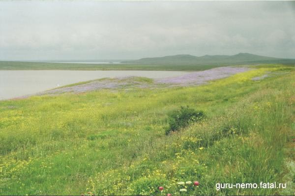 Кояшское озеро