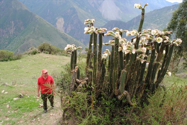 Тропа Инков к Чокекирао (Choquequirao)