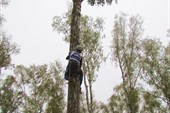 IMG_3297