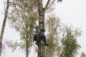 IMG_3300