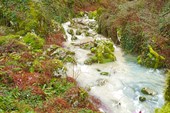 Мутная вода Пцырсхвы смешивается с чистой водой карстовых источн