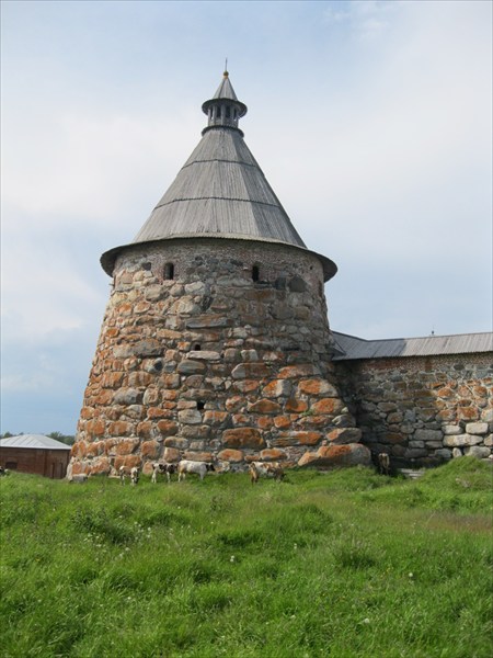 Башня соловецкого кремля