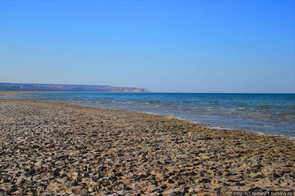 Вода очень соленая.