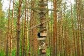 Керженец-2009. Дерево памятных табличек