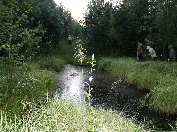 П. Ермаково. Дорога к зоне взрыва (503-я стройка)