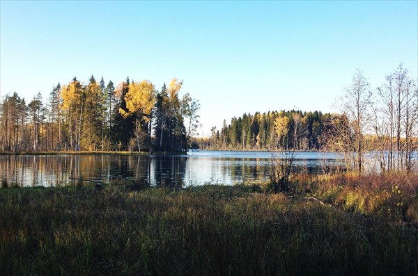 Живописное место для небольшого пикника