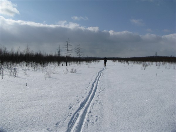 И снова лыжня зовет вперед!