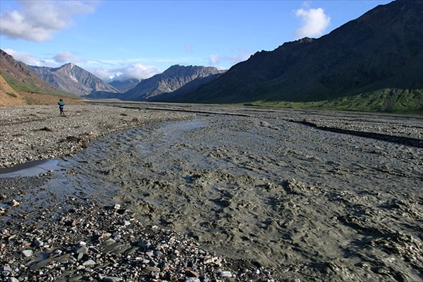 Toklat river