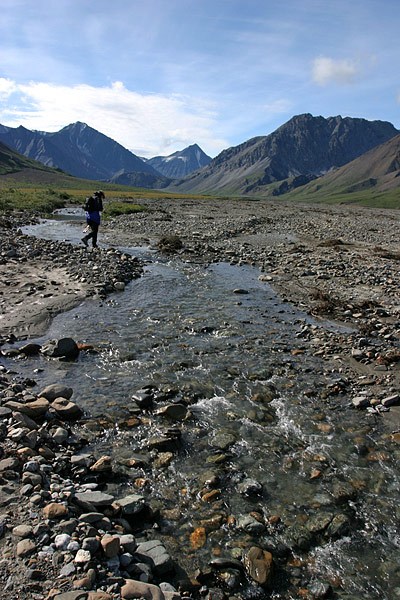 Toklat river