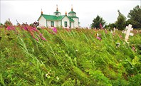 Русская православная церковь в Ninilchik village
