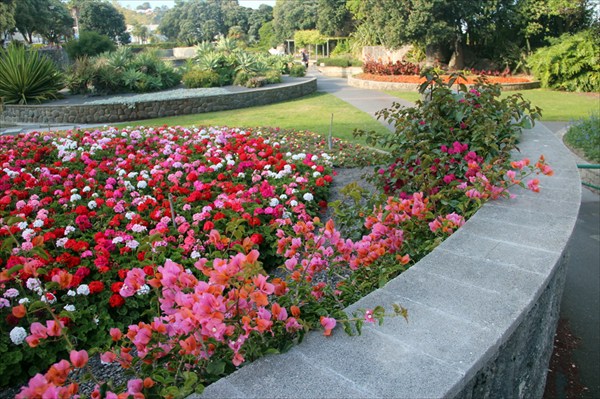 Ботанический сад в Нейпире