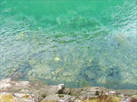 Вода в реках!