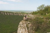 IMG_1382_resize
