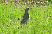 IMG_1407_resize