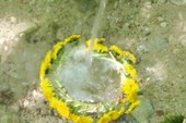 IMG_1436_resize