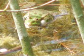 IMG_1491_resize