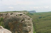 IMG_1511_resize