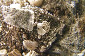IMG_1565_resize