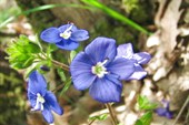 IMG_1571_resize