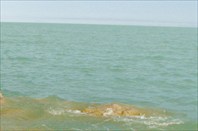 Фото 5. Озеро Балхаш 