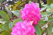 IMG_20181021_114550