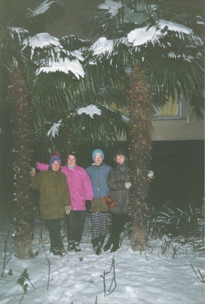 03. Пальмы в снегу