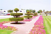 DSC00036