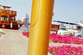 DSC00190