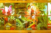 DSC00281