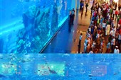 DSC00282