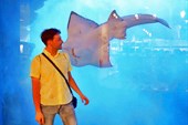DSC00286