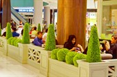 DSC00289