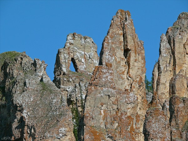 Верхушечки исполинов