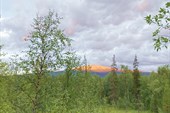 IMG_4933