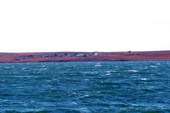 Вайгач