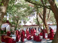Диспут монахов в монастыре Сера