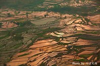 71303258-Рисовые плантации района Юаньян