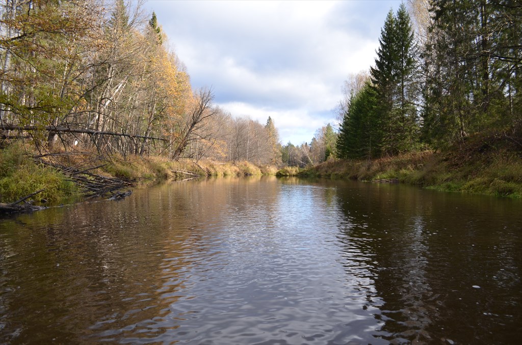 Люнда река нижегородская область