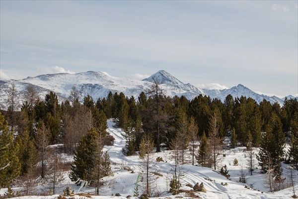 На перевале