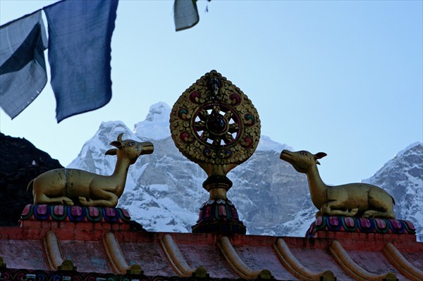 Колесо дхармы и олени на воротах