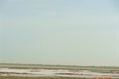 DSC04565