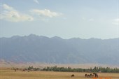 DSC04861